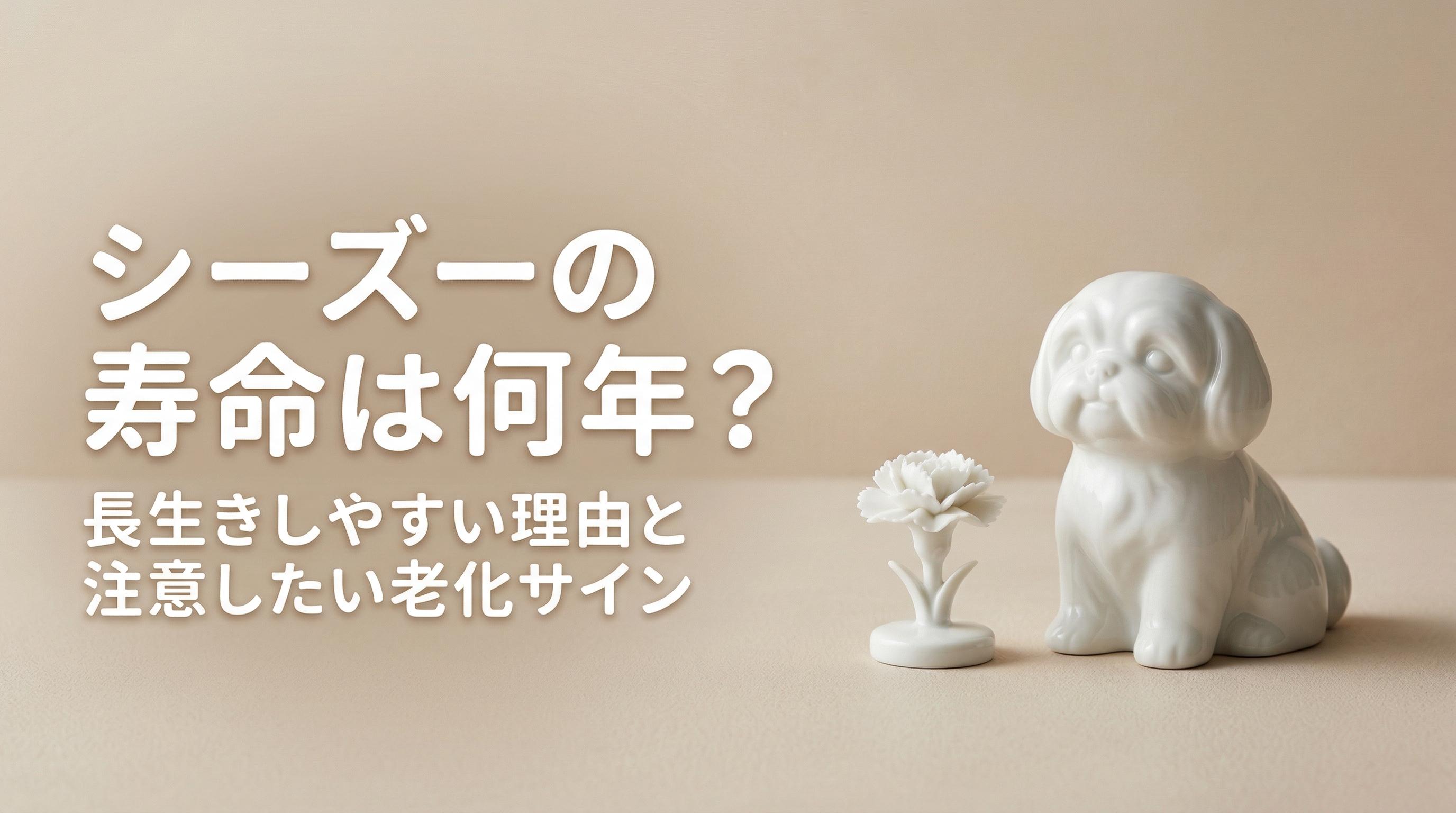 シーズーの寿命は何年?長生きしやすい理由と注意したい老化サイン