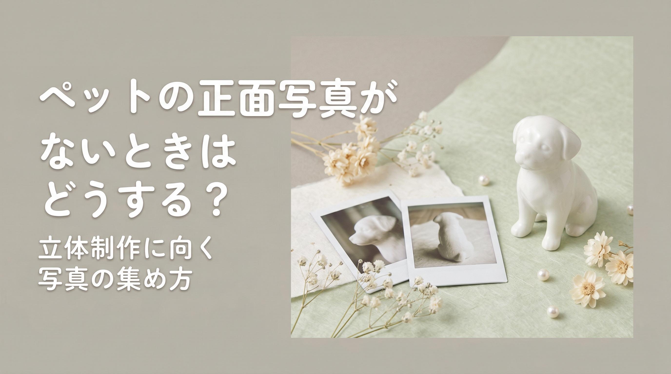 ペットの正面写真がないときはどうする?立体制作に向く写真の集め方