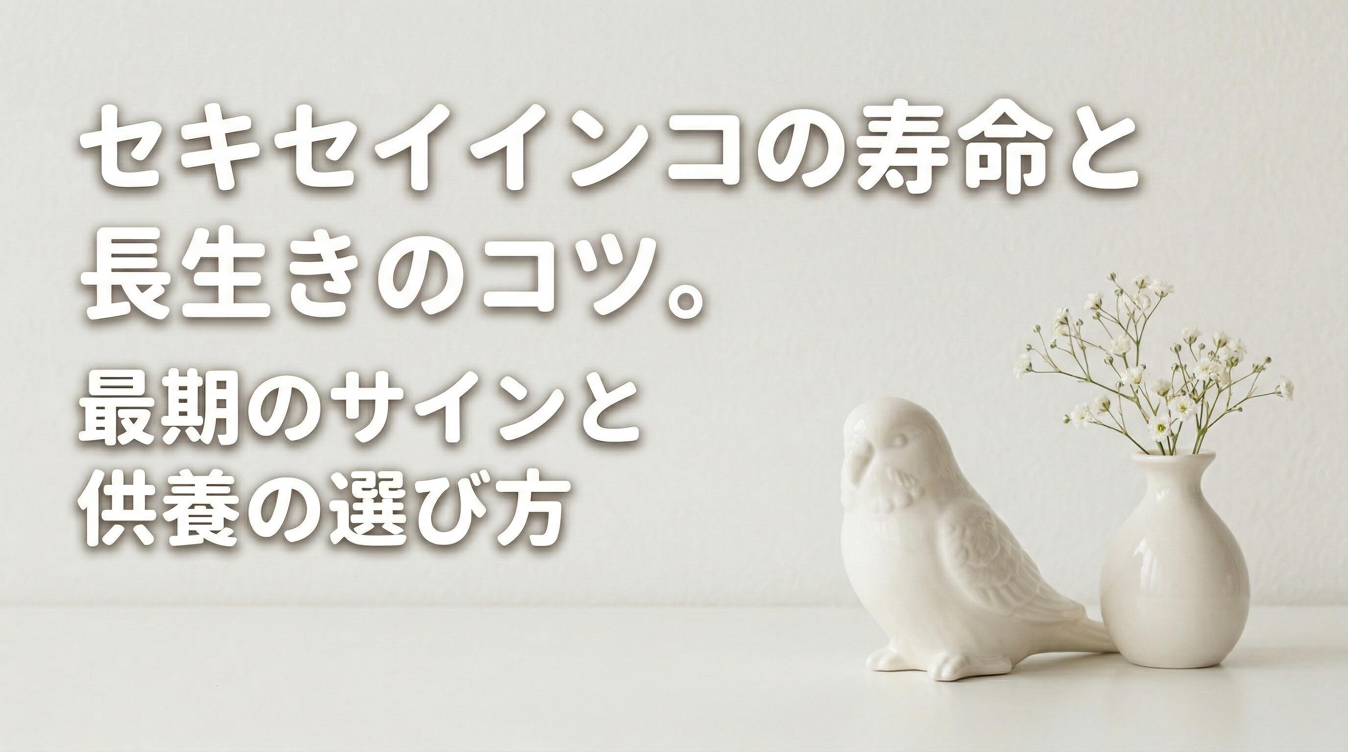 セキセイインコの寿命と長生きのコツ。最期のサインと供養の選び方