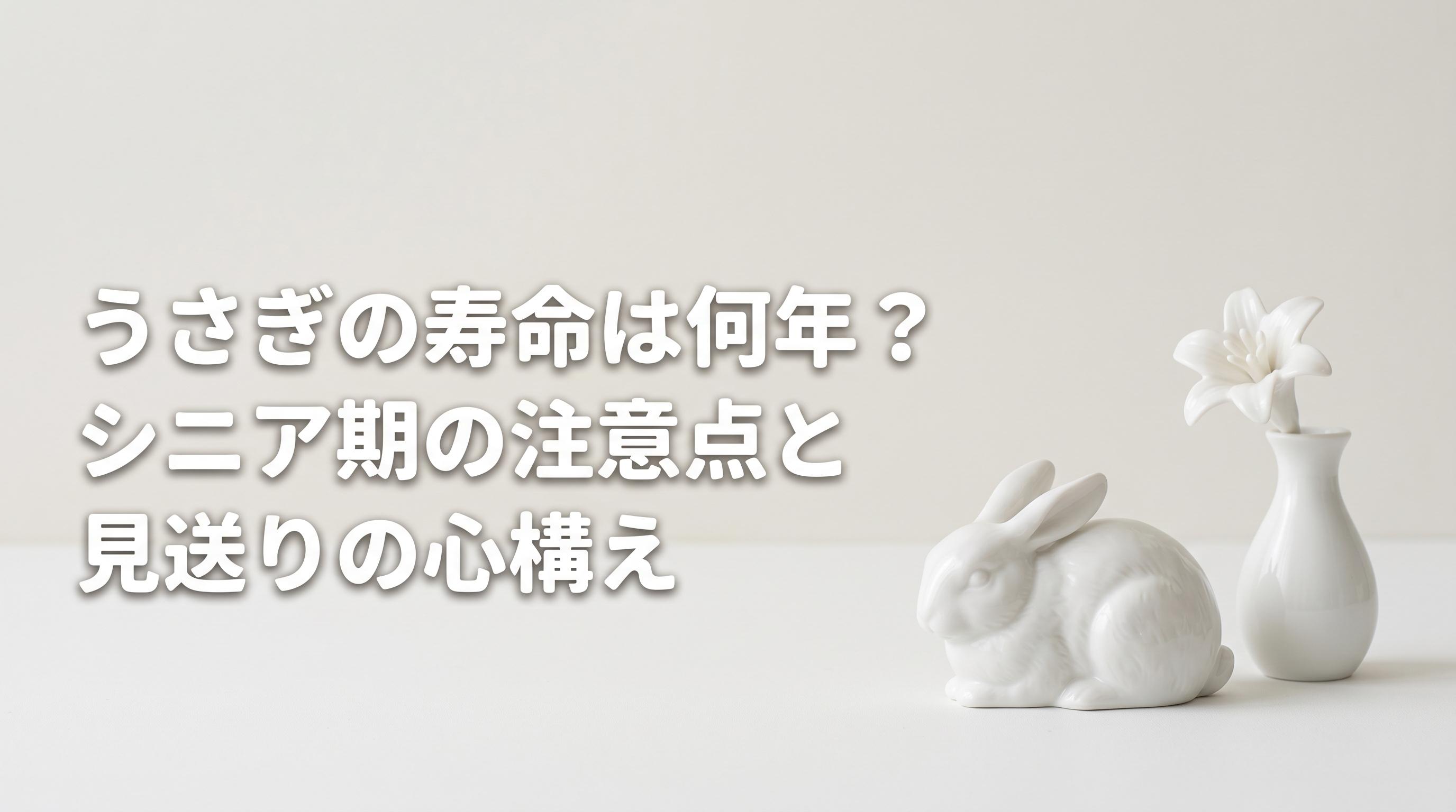 うさぎの寿命は何年?シニア期の注意点と見送りの心構え