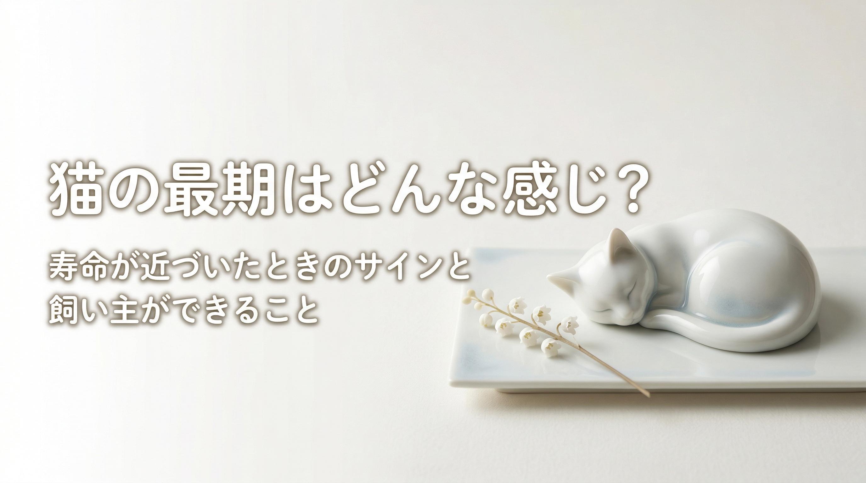 猫の最期はどんな感じ?寿命が近づいたときのサインと飼い主ができること