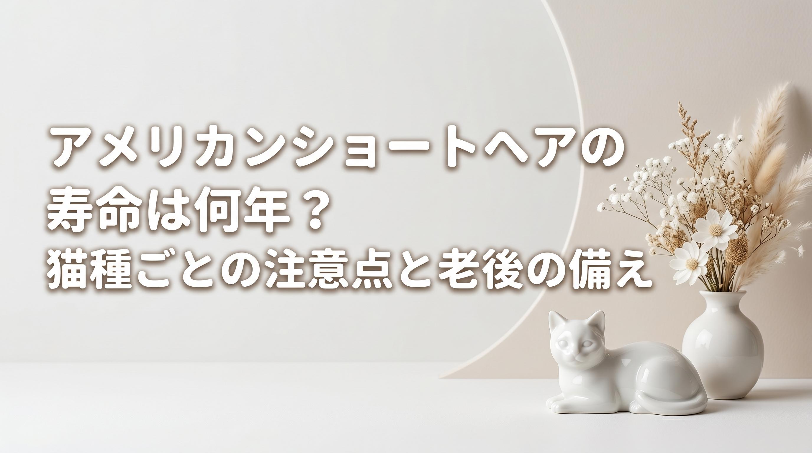 アメリカンショートヘアの寿命は何年?猫種ごとの注意点と老後の備え