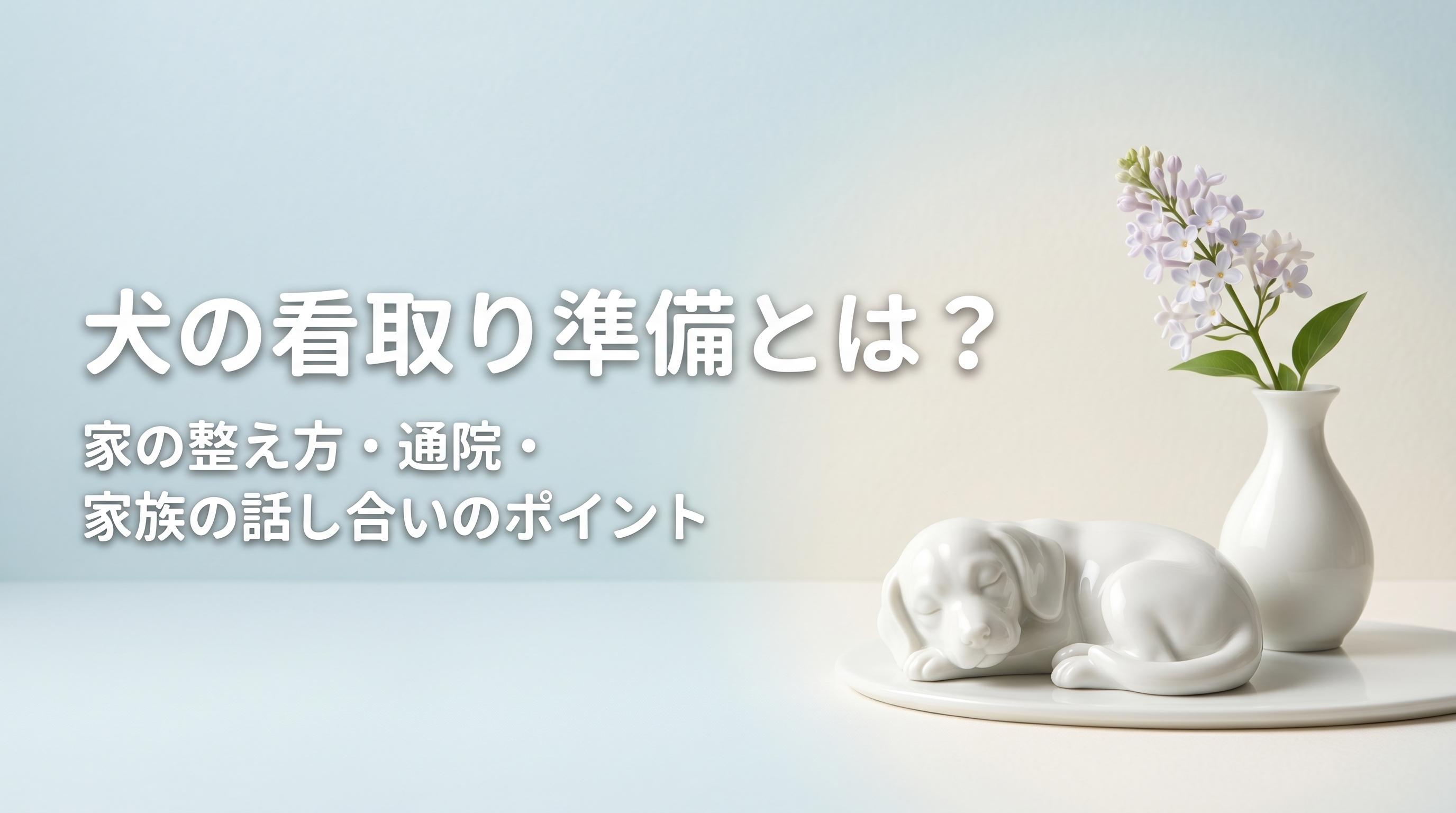 犬の看取り準備とは?家の整え方・通院・家族の話し合いのポイント