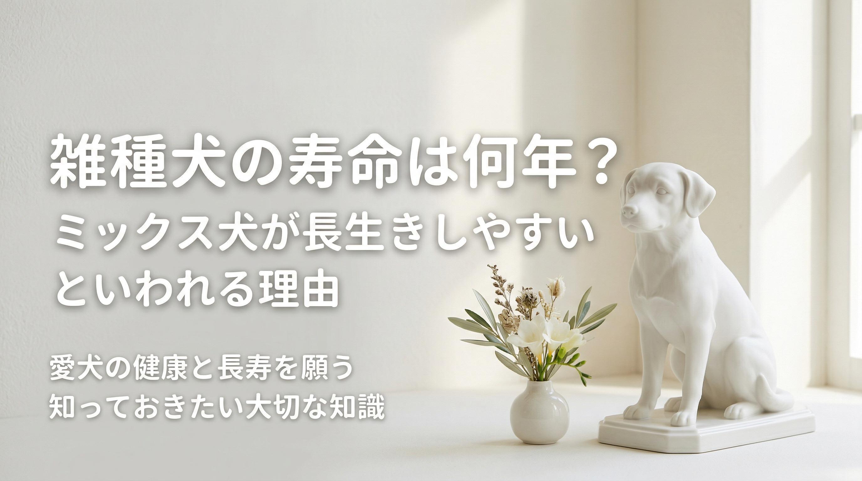 雑種犬の寿命は何年?ミックス犬が長生きしやすいといわれる理由