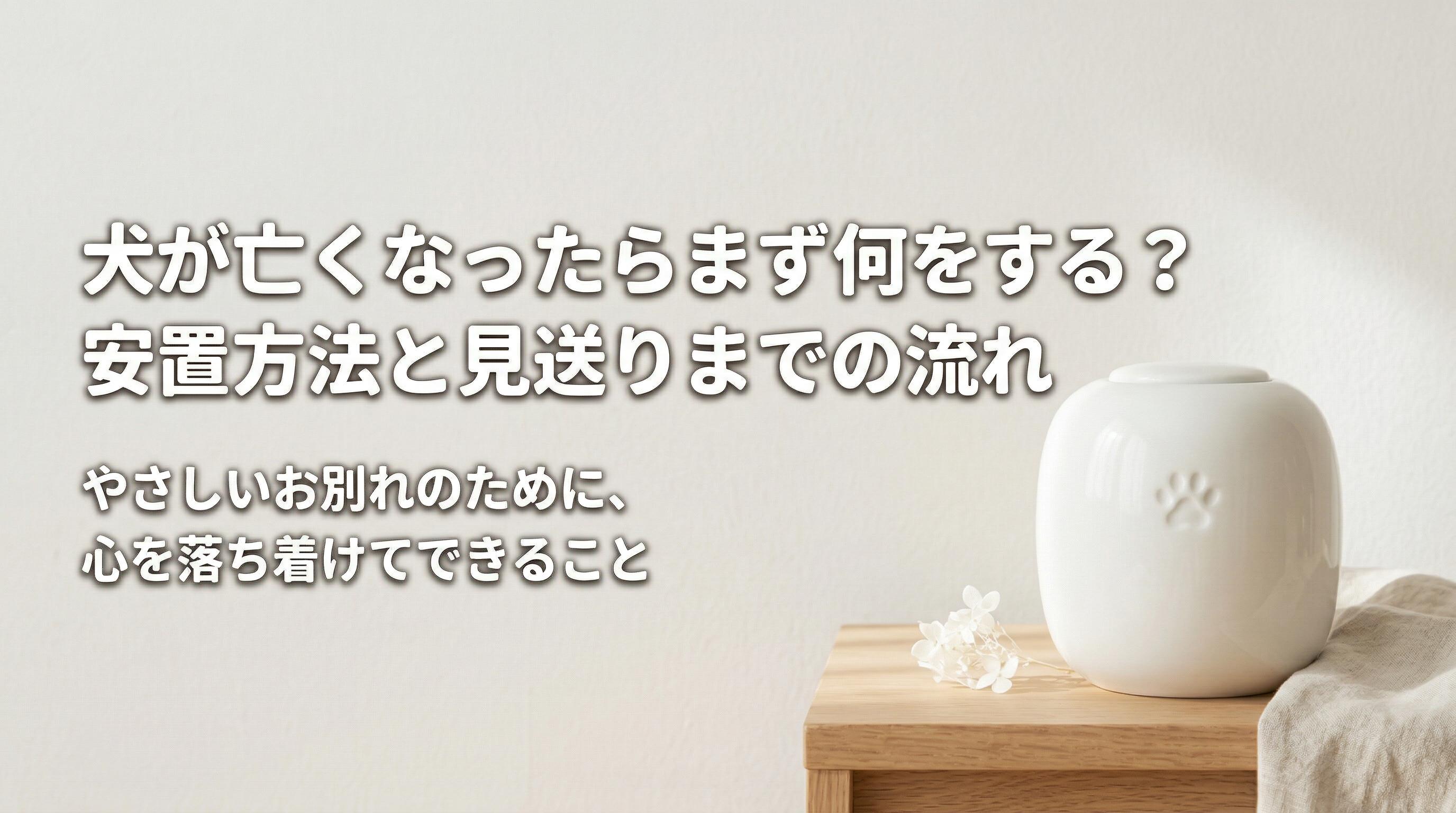 犬が亡くなったらまず何をする?安置方法と見送りまでの流れ