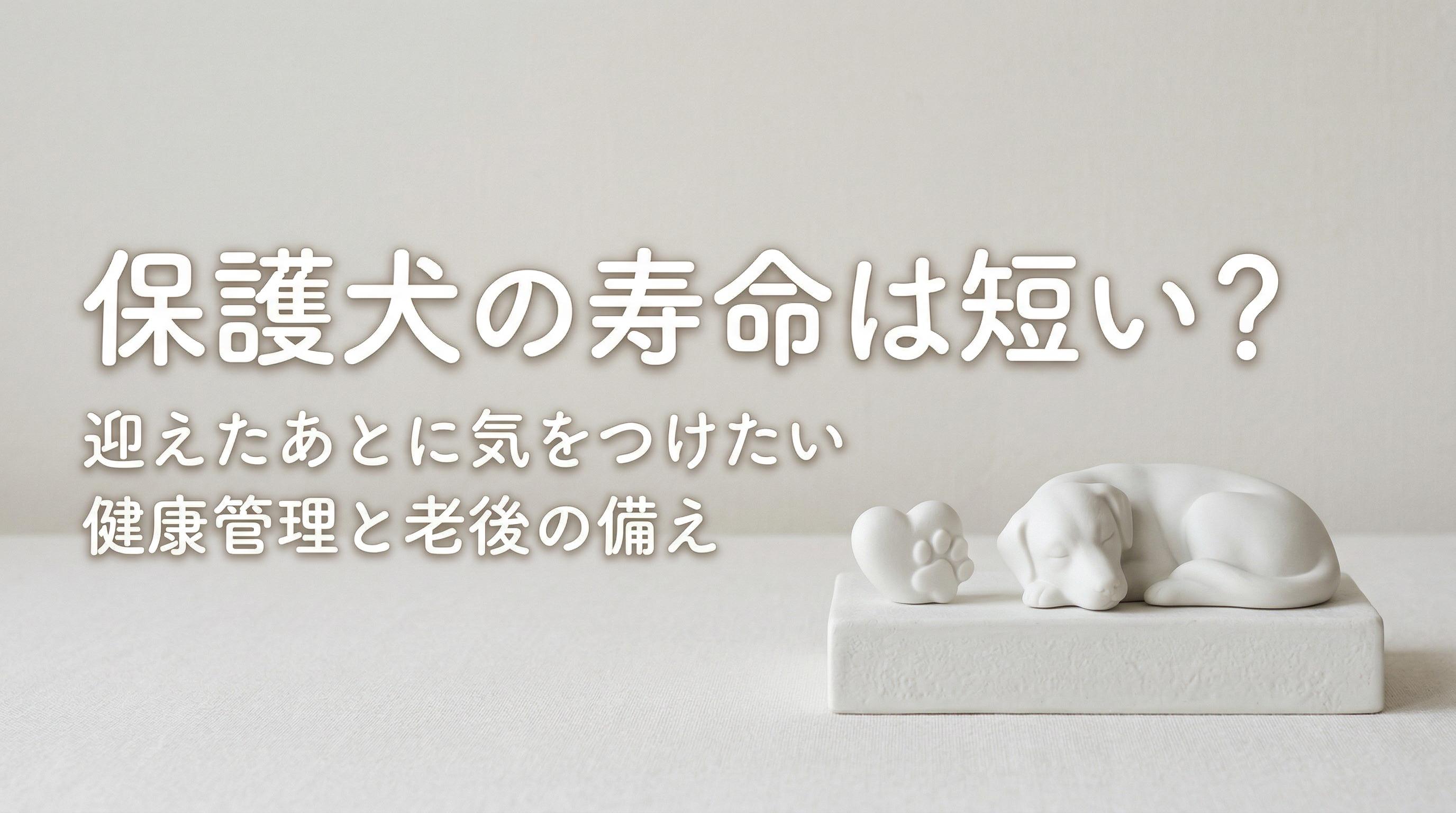保護犬の寿命は短い?迎えたあとに気をつけたい健康管理と老後の備え