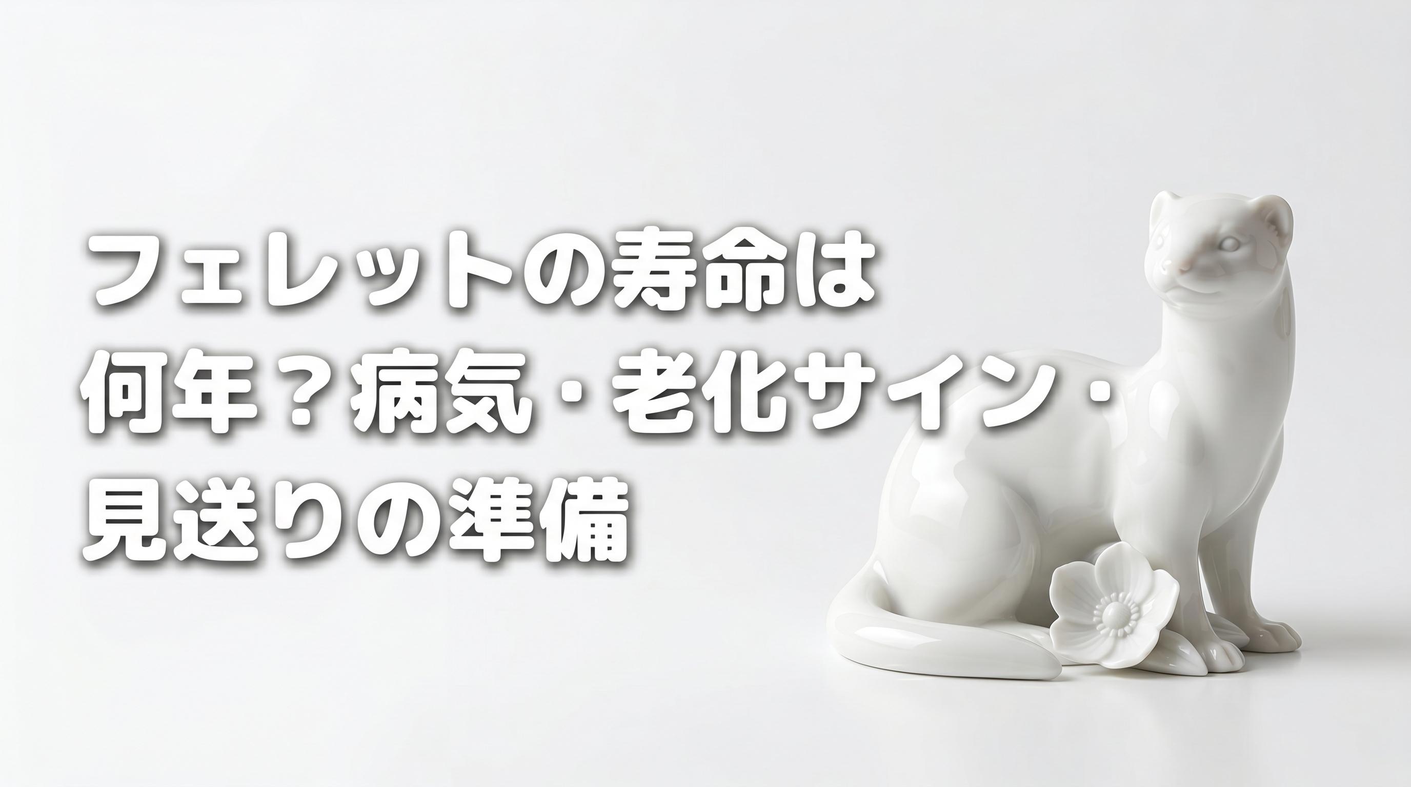フェレットの寿命は何年?病気・老化サイン・見送りの準備