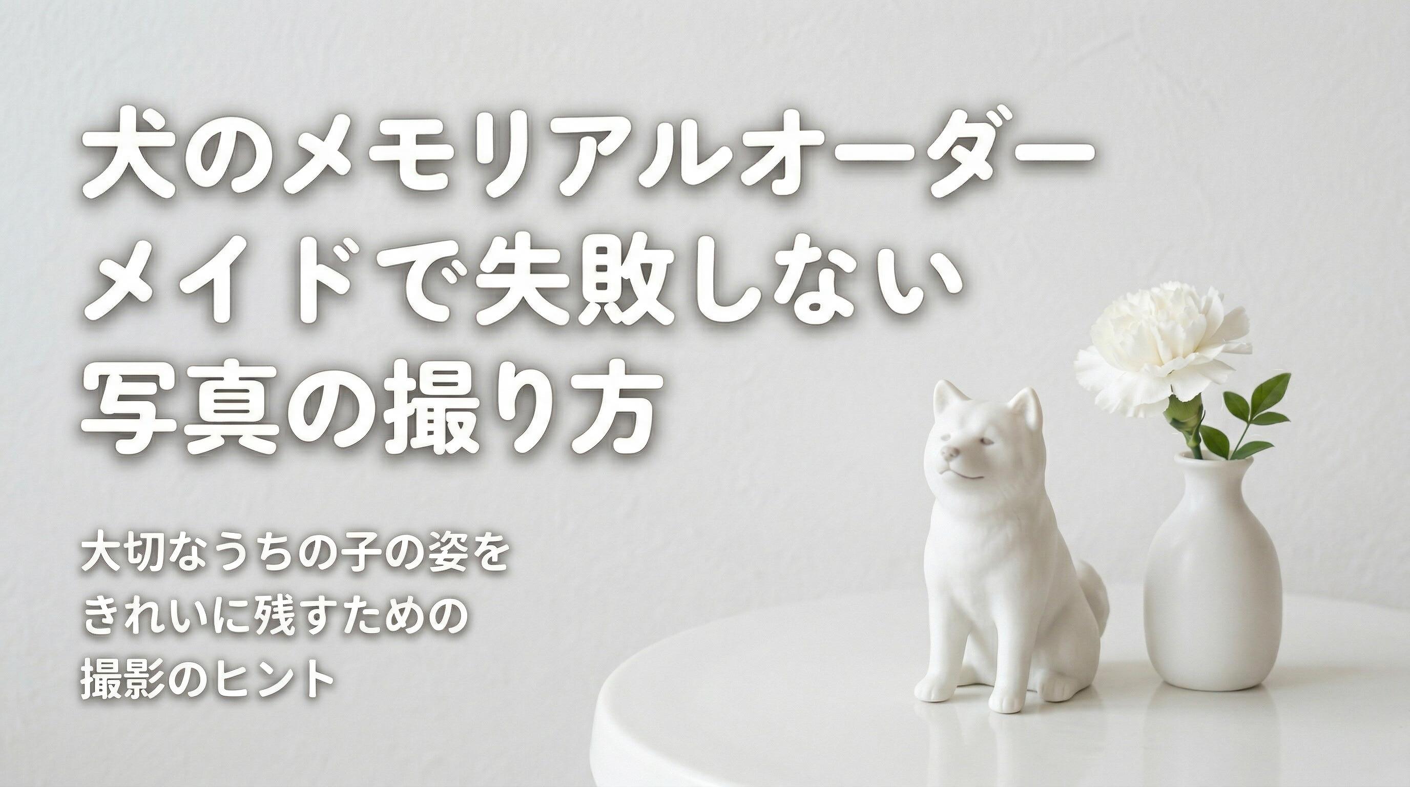 犬のメモリアルオーダーメイドで失敗しない写真の撮り方