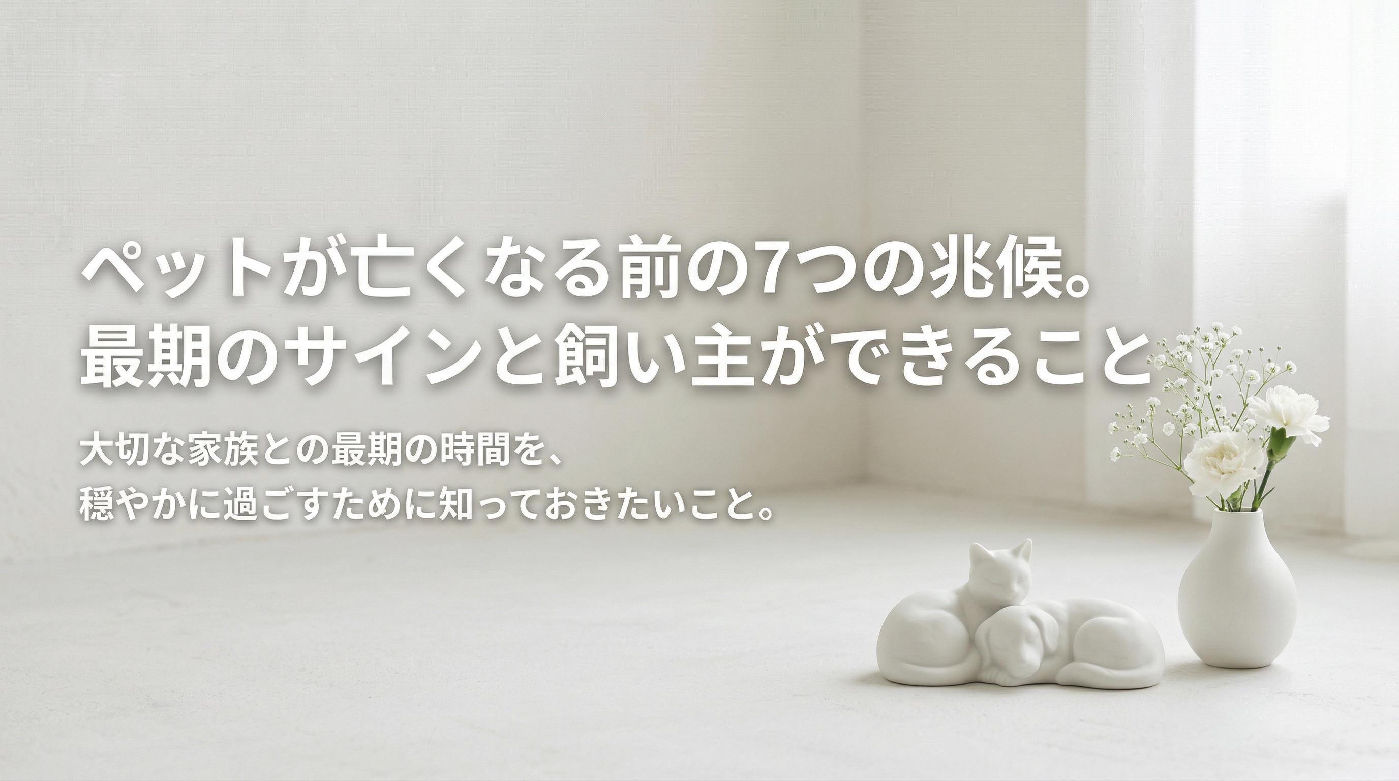 ペットが亡くなる前の7つの兆候。最期のサインと飼い主ができること