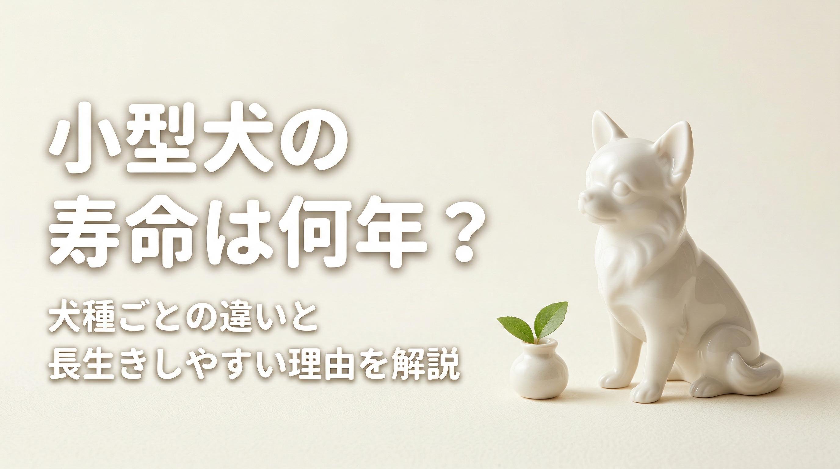 小型犬の寿命は何年?犬種ごとの違いと長生きしやすい理由を解説