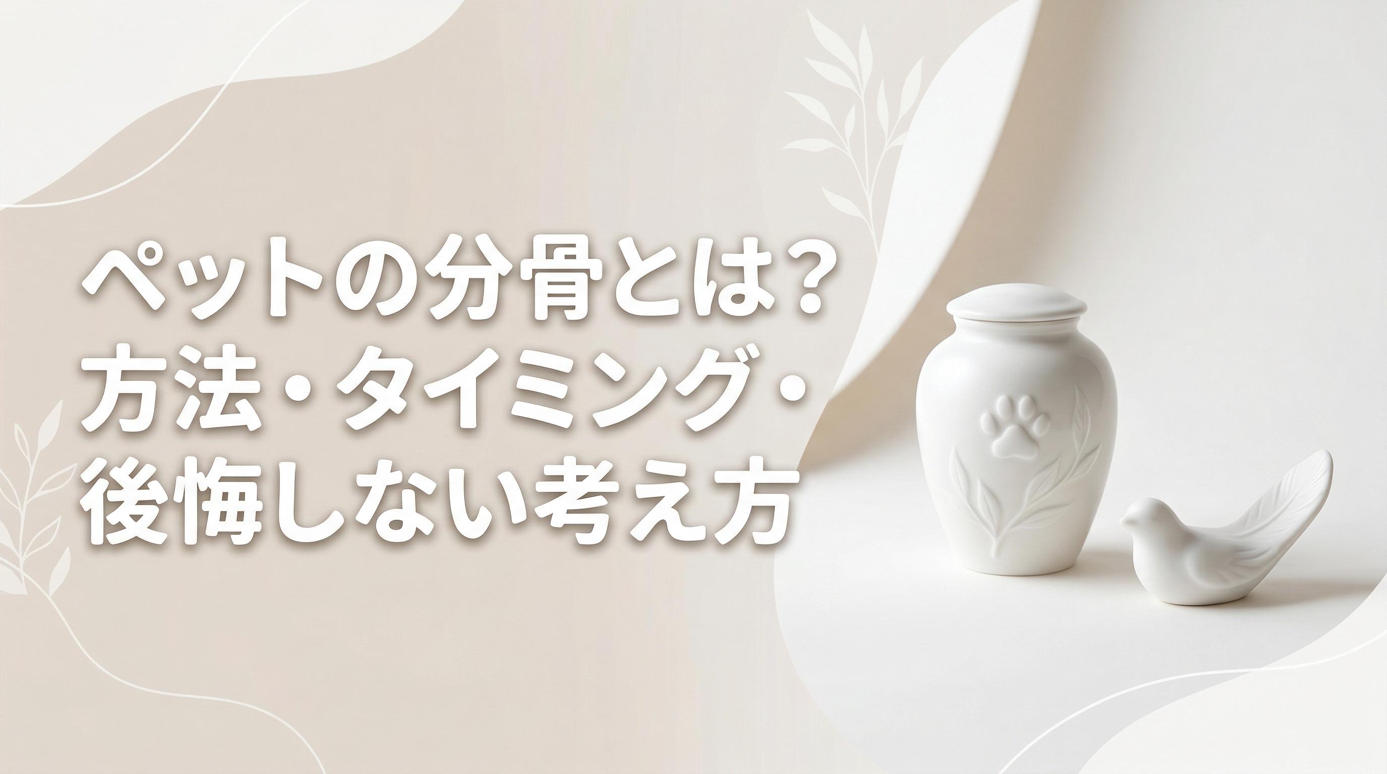 ペットの分骨とは?方法・タイミング・後悔しない考え方