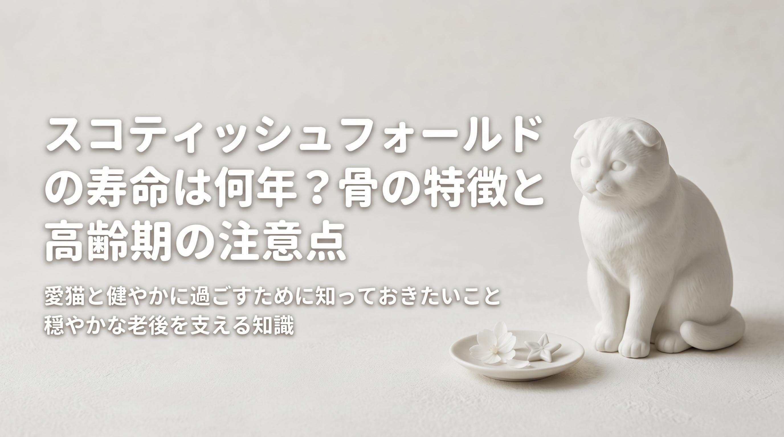 スコティッシュフォールドの寿命は何年?骨の特徴と高齢期の注意点