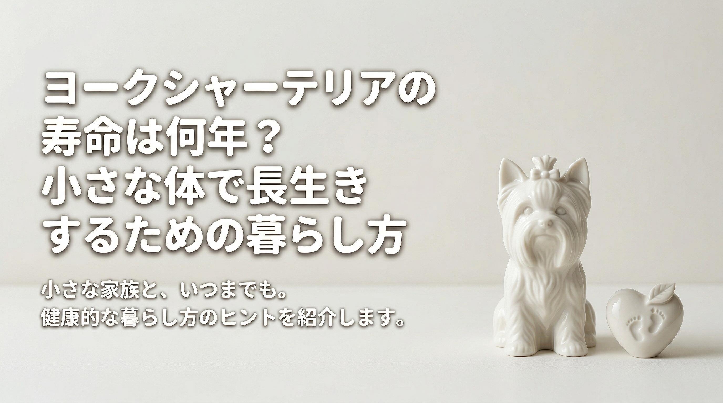 ヨークシャーテリアの寿命は何年?小さな体で長生きするための暮らし方
