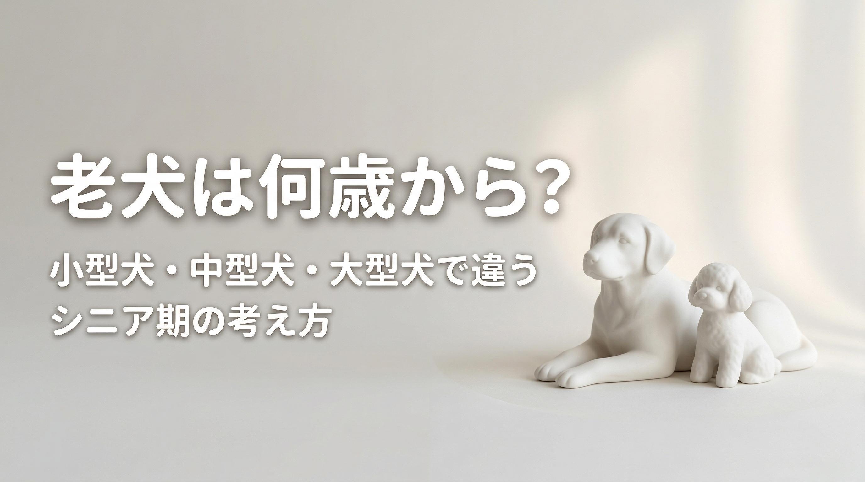老犬は何歳から?小型犬・中型犬・大型犬で違うシニア期の考え方