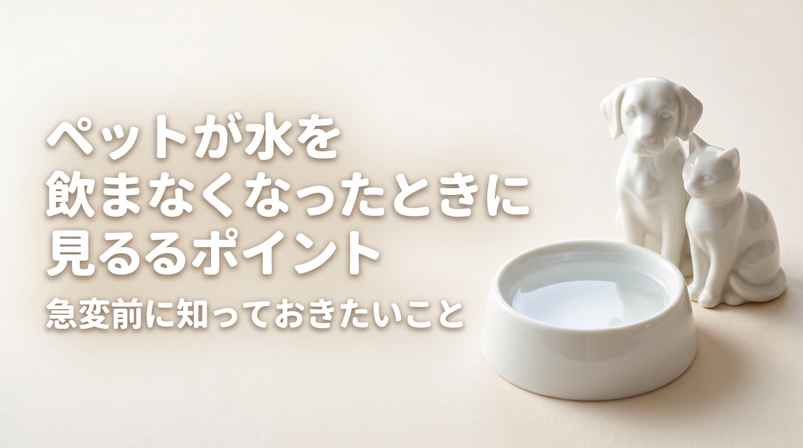 ペットが水を飲まなくなったときに見るポイント|急変前に知っておきたいこと