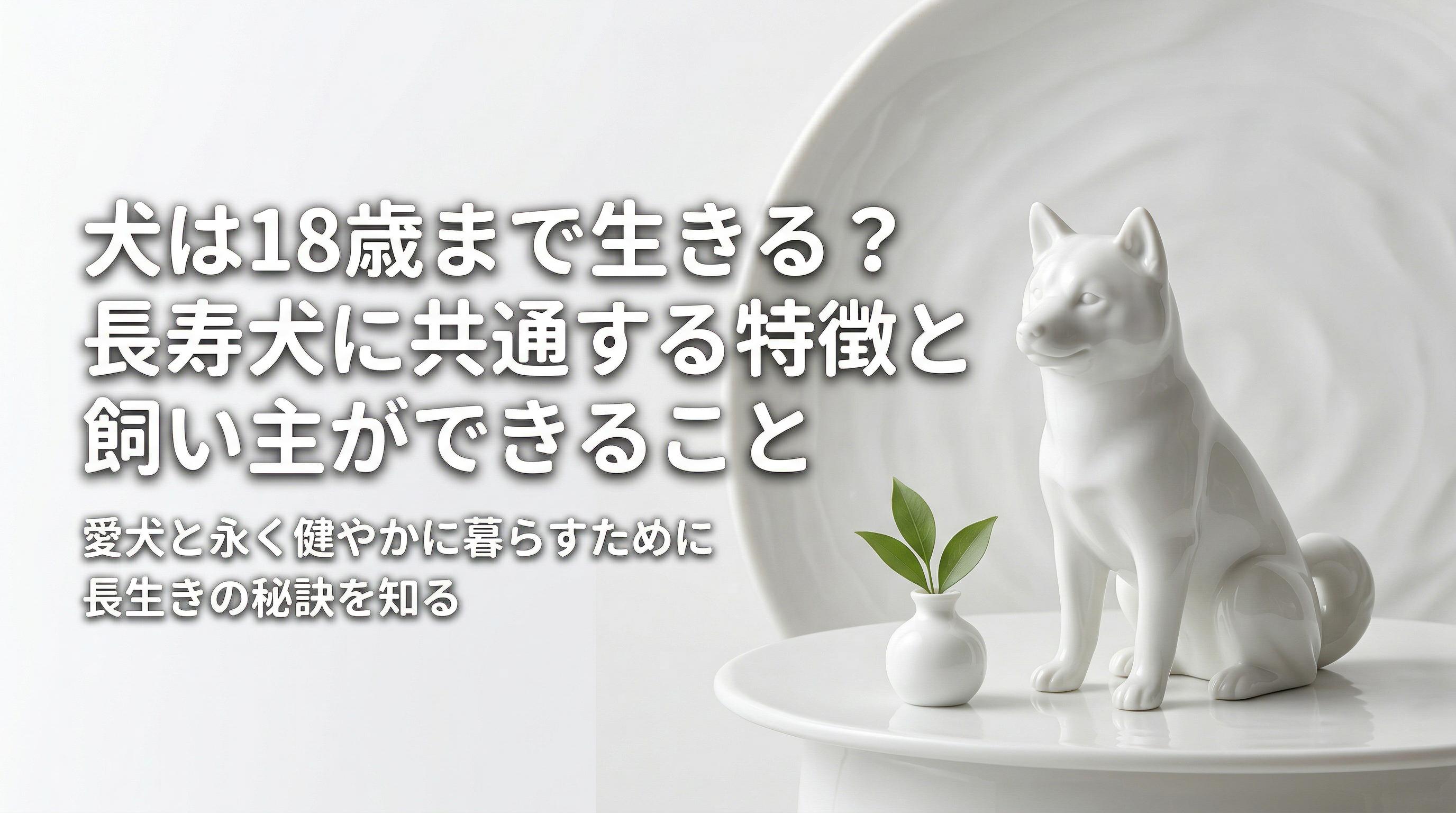 犬は18歳まで生きる?長寿犬に共通する特徴と飼い主ができること